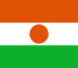 Флаг на футболен отбор домакин Нигер