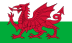 Флаг на футболен отбор домакин Уелс