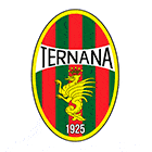 Флаг на футболен отбор гост Тернана