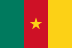 Флаг на футболен отбор домакин Камерун