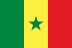 Флаг на футболен отбор гост Сенегал