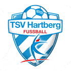 Флаг на футболен отбор гост Хартберг