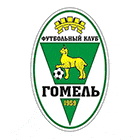 Флаг на футболен отбор домакин Гомел